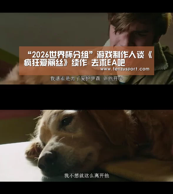 “2026世界杯分组”游戏制作人谈《疯狂爱丽丝》续作 去求EA吧(图2) 2026世界杯对阵图