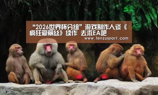 “2026世界杯分组”游戏制作人谈《疯狂爱丽丝》续作 去求EA吧(图1) 2026世界杯赛程