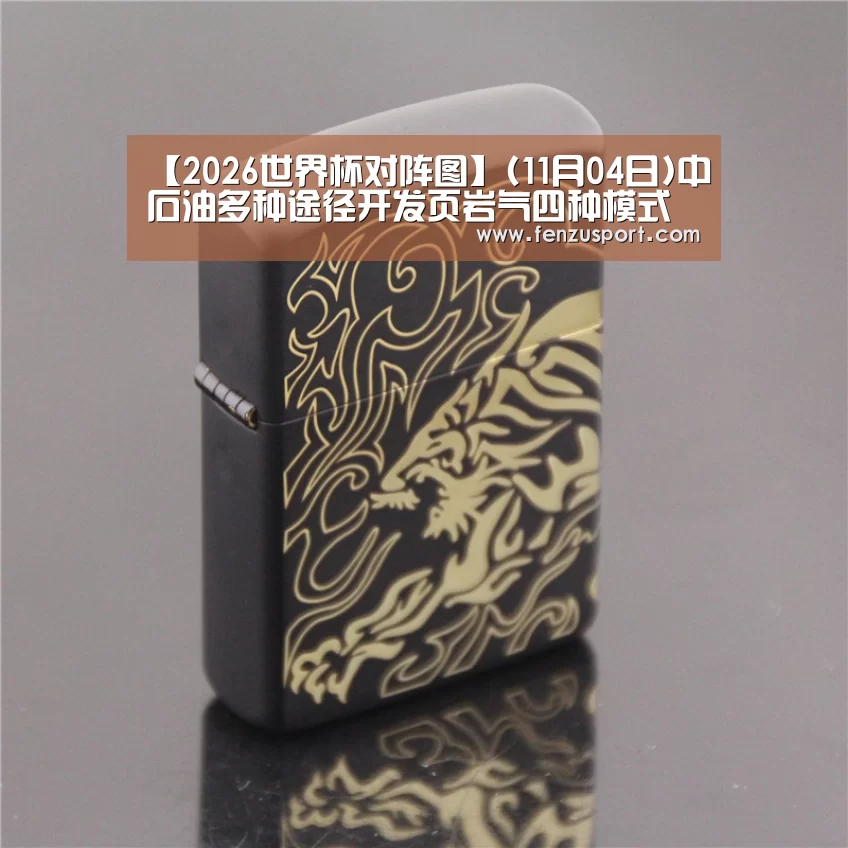 【2026世界杯对阵图】(11月04日)中石油多种途径开发页岩气四种模式逐渐成形(图2) 2026世界杯对阵图