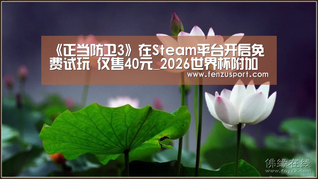 《正当防卫3》在Steam平台开启免费试玩 仅售40元_2026世界杯附加赛(图1) 2026世界杯附加赛