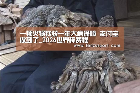 一顿火锅钱获一年大病保障 支付宝做到了_2026世界杯赛程(图3) 2026世界杯赛程