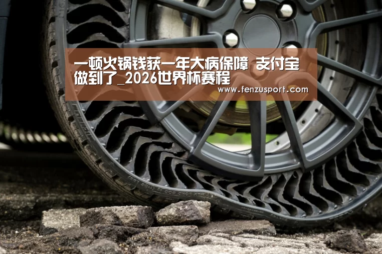 一顿火锅钱获一年大病保障 支付宝做到了_2026世界杯赛程(图2) 2026世界杯对阵图