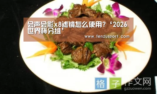 会声会影x8滤镜怎么使用?‘2026世界杯分组’(图1) 2026世界杯附加赛