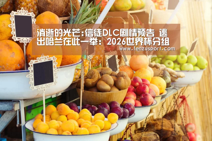 2026世界杯分组