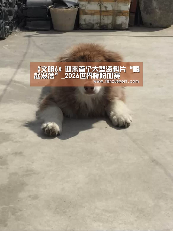 2026世界杯对阵图