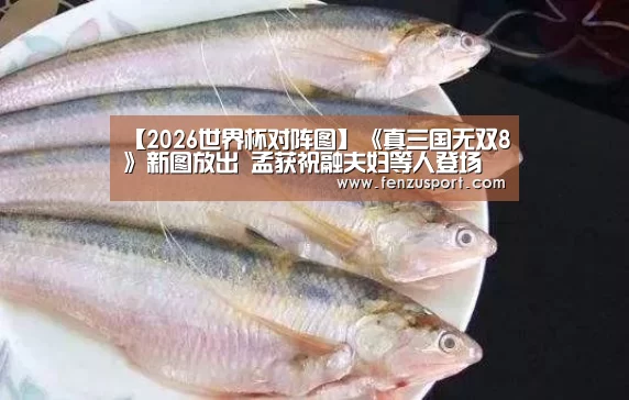 2026世界杯赛程