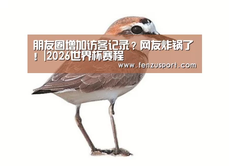 朋友圈增加访客记录?网友炸锅了!|2026世界杯赛程(图4) 2026世界杯对阵图