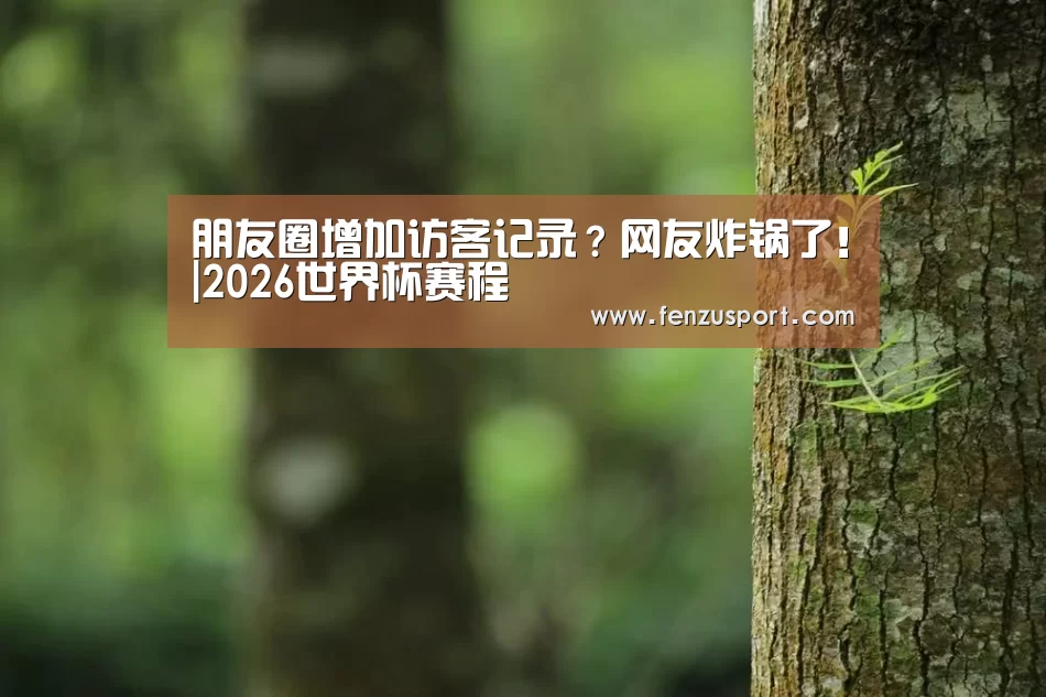 朋友圈增加访客记录?网友炸锅了!|2026世界杯赛程(图3) 2026世界杯赛程