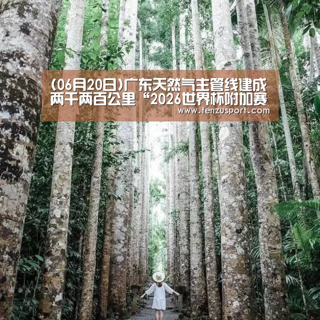 (06月20日)广东天然气主管线建成两千两百公里“2026世界杯附加赛”(图1) 2026世界杯赛程