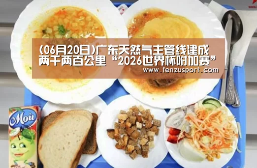 (06月20日)广东天然气主管线建成两千两百公里“2026世界杯附加赛”(图2) 2026世界杯对阵图
