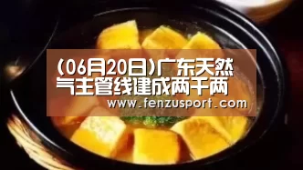 (06月20日)广东天然气主管线建成两千两百公里“2026世界杯附加赛”(图4) 2026世界杯分组