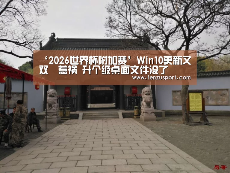‘2026世界杯附加赛’Win10更新又双叒惹祸 升个级桌面文件没了(图4) 2026世界杯对阵图