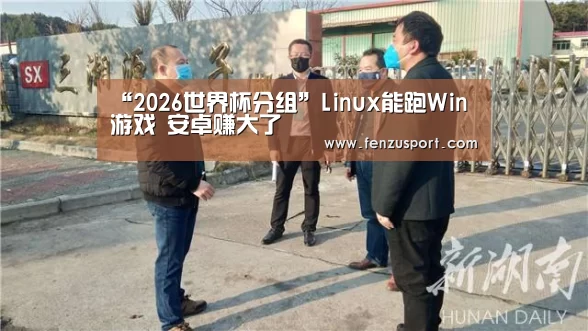 “2026世界杯分组”Linux能跑Win游戏 安卓赚大了(图4) 2026世界杯赛程