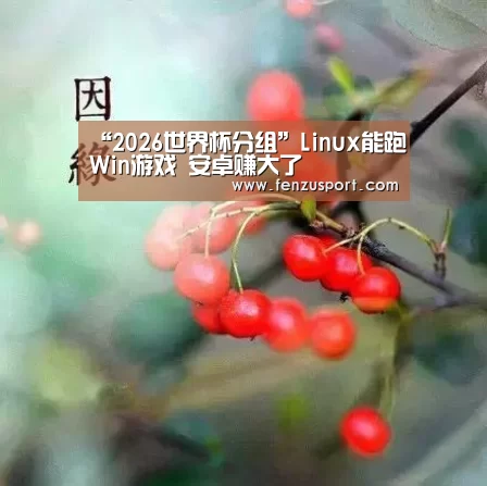 “2026世界杯分组”Linux能跑Win游戏 安卓赚大了(图1) 2026世界杯分组