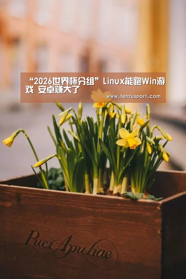 “2026世界杯分组”Linux能跑Win游戏 安卓赚大了(图3) 2026世界杯赛程