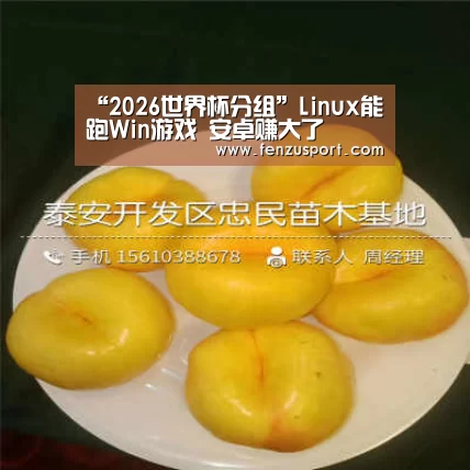 “2026世界杯分组”Linux能跑Win游戏 安卓赚大了(图2) 2026世界杯附加赛