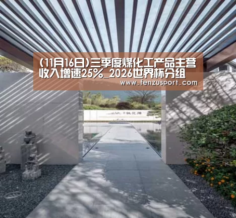 (11月16日)三季度煤化工产品主营收入增速25%_2026世界杯分组(图1) 2026世界杯对阵图