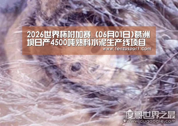 2026世界杯附加赛_(06月01日)葛洲坝日产4500吨熟料水泥生产线项目年底建成(图1) 2026世界杯分组