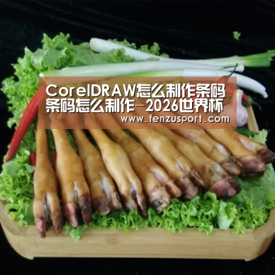 CorelDRAW怎么制作条码条码怎么制作-2026世界杯分组(图1) 2026世界杯分组