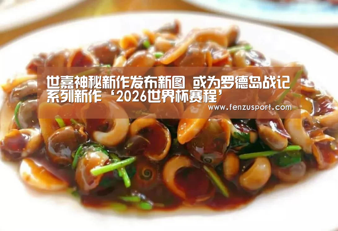 世嘉神秘新作发布新图 或为罗德岛战记系列新作‘2026世界杯赛程’(图1) 2026世界杯分组